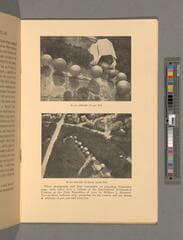 Go to image 13.
