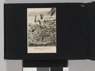 Go to image 78.