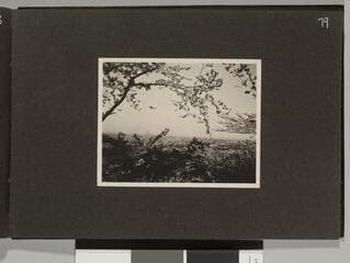 Go to image 81.