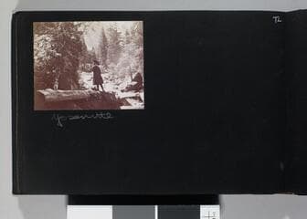 Go to image 74.