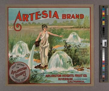 Artesia Brand