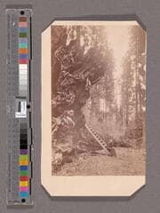 Go to image 1.