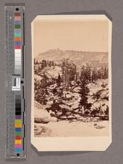 Go to image 1.