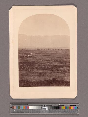 Pasadena from Bacon's Hill