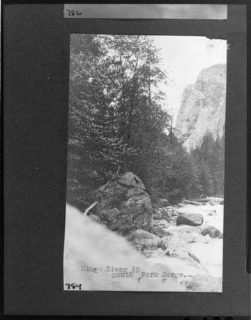Kings River Project