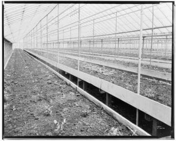 N1 - Nurseries & Soil Heating - Greenhouse