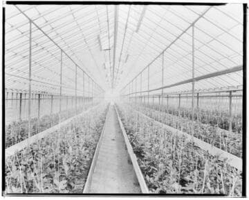 N1 - Nurseries & Soil Heating