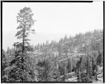 Big Creek Scenery