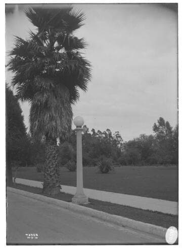 Lighting Post