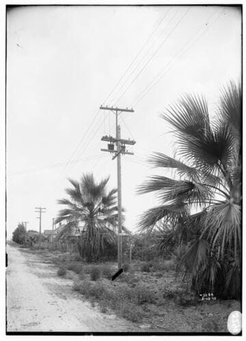 Distribution Lines