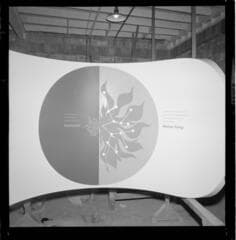 Go to image 6.