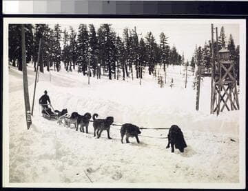Big Creek Dog Teams - Jerry Dwyer & dog team
