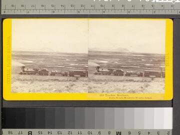 289. Truckee Meadows