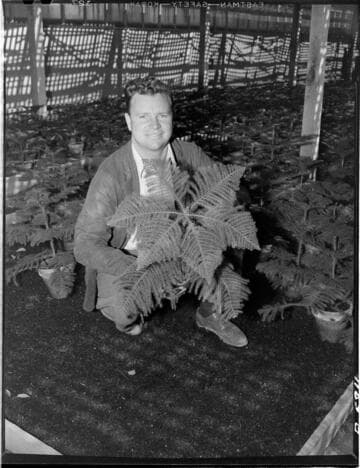 Soil heating