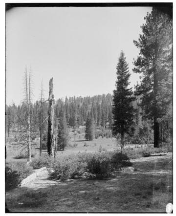 Big Creek Scenery