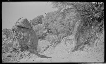 Kaweah #1