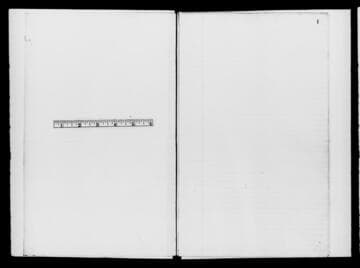 Diary of Walter S. Tolton [microform] : 1896-1934