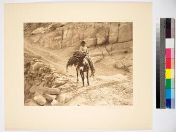 Hopiland, Arizona. Hopi boy bringing home a load of corn