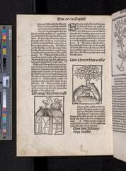Go to image 240.