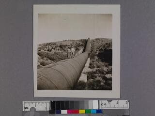Go to image 1.