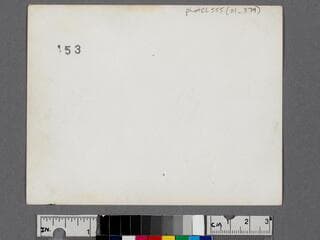 Go to image 2.
