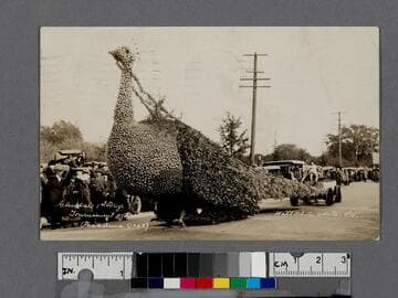 Glendale first prize, Tournament of Roses, Pasadena, 1923