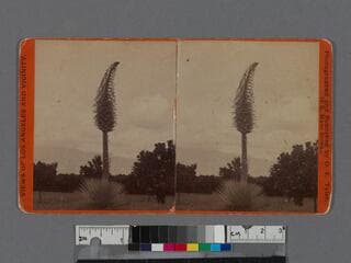 Go to image 1.