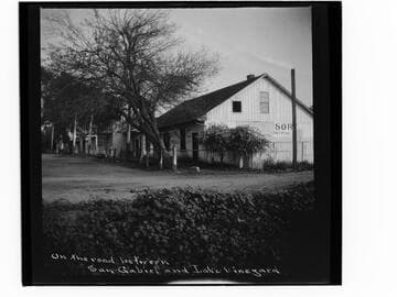 On the road between San Gabriel and Lake Vineyard
