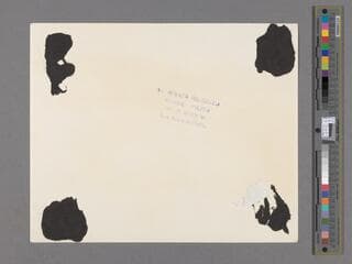 Go to image 2.
