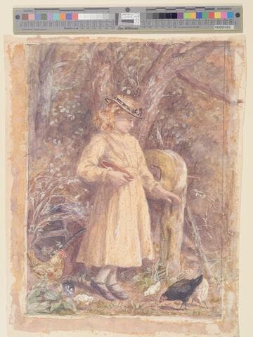 Girl Feeding Chickens