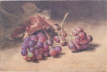 Grapes