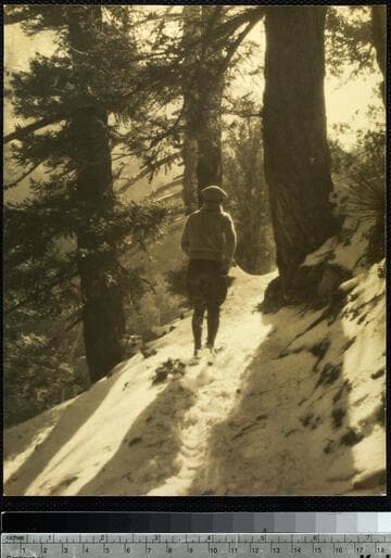 [Pictorialist photographs by Maynard Parker]