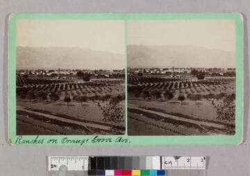 Ranches on Orange Grove Ave