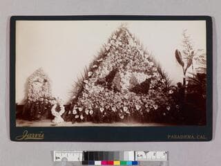 Go to image 1.
