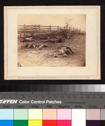 Confederate Soldiers, As they fell inside the fence on the Hagerstown Road, at the Battle of Antietam