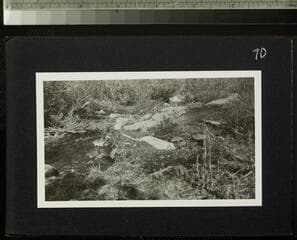 Go to image 72.