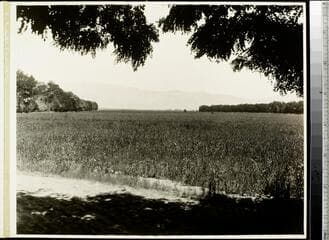 Go to image 258.