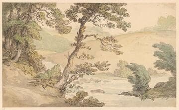 Stream in a Hilly Landscape