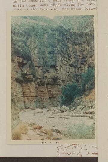 Lower end of long narrows in Separation Canyon