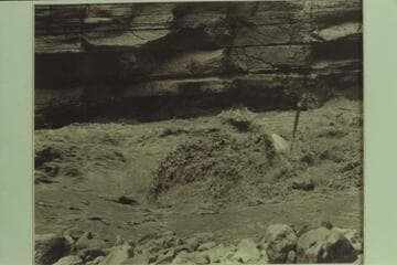 Pat Reilly upsetting in Upset Rapid