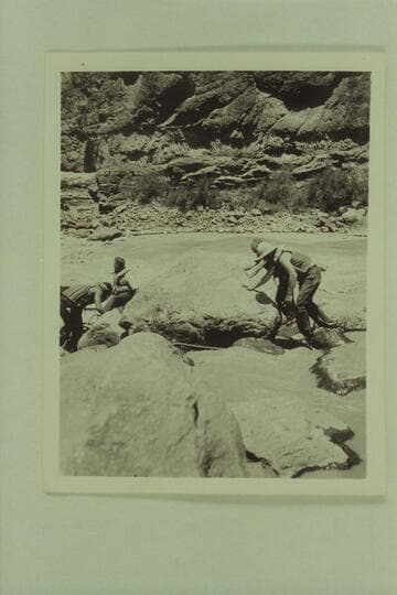 Lining Vulcan Rapid