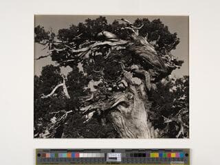 Go to image 1.