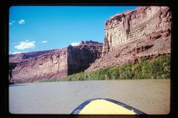 Tows on Colorado