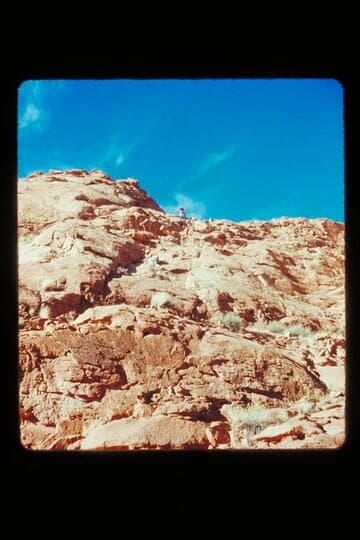 Dock climbing down rock trail