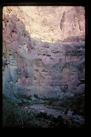 Up Kanab Canyon