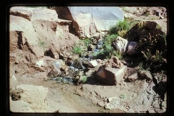 Cave Spring