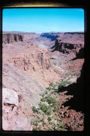 Down Cha Canyon