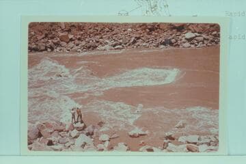 A looksee at the head of Rapid 22