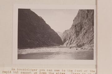 Sockdologer Rapid