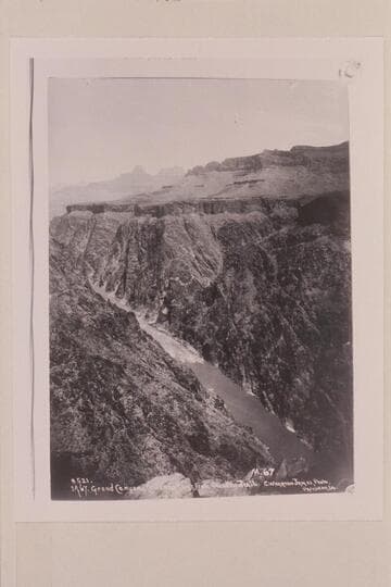 Grapevine Rapid